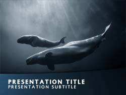 Free Whale PowerPoint Template Title Master