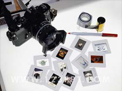 Photography Photo Image