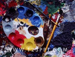 Artist Paint Palette Photo Image