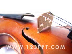 Violin Photo Image