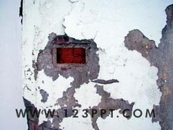 Urban Decay Photo Image