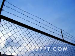 Prisoner Photo Image