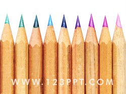 Pencils Photo Image