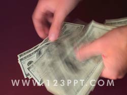Counting Money Photo Image