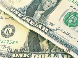 Dollar Bill Money Photo Image