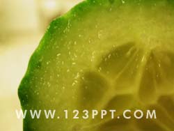 Cucumber Detail Photo Image