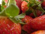 Basket of Strawberries presentation photo