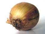 Onion presentation photo
