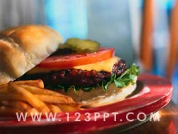 Hamburger Junk Food Photo Image