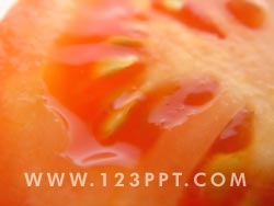 Tomato Slice Photo Image