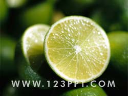 Fruit Lime Photo Image
