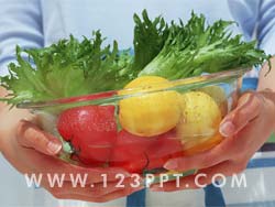 Nutrition Photo Image