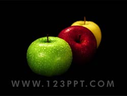 Apples Photo Image