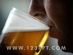 Drinking Beer Photo Image
