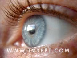 Womans Eye Photo Image