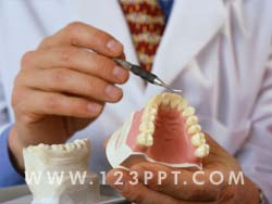 Dentist and Teeth Photo Image