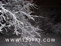 Night Winter Wilderness Photo Image
