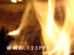 Fire and Flames 1 Photo Image