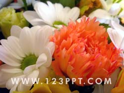 Floral Bouquet Photo Image