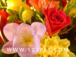 Flowers Bouquet Photo Image