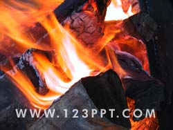 Fire Burining Logs Photo Image