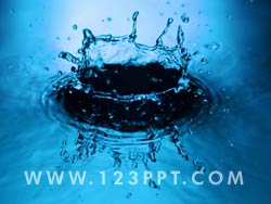 Water Drop & Splash Photo Image