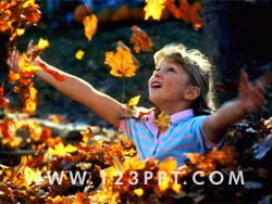 Autumn Photo Image
