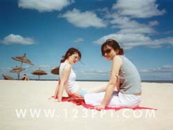 Sunbathing on the Beach Photo Image