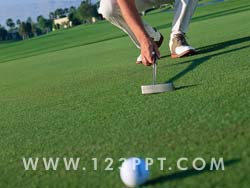 Golf Putt Photo Image