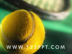 Tennis Ball & Racket Photo Image