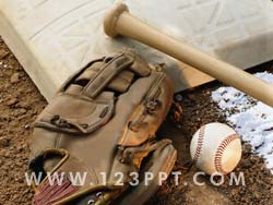 Baseball Equipment Photo Image