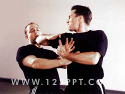 Martial Arts Expert Photo Image