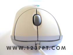 Wheel Mouse Front Photo Image