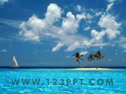 Desert Island Photo Image