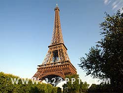 Eiffel Tower Photo Image