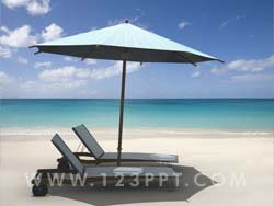 Paradise Photo Image