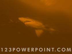 Shark powerpoint background