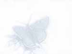 Butterfly PowerPoint background
Click this thumbnail for colour, pricing, and purchase options