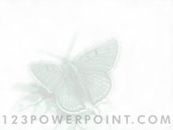 Butterfly powerpoint background