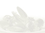 Sea Food Platter PowerPoint background
Click this thumbnail for colour, pricing, and purchase options