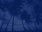 Palm Trees PowerPoint background
Click this thumbnail for colour, pricing, and purchase options