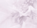 Orchids PowerPoint background
Click this thumbnail for colour, pricing, and purchase options