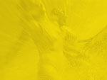 Carefree PowerPoint background
Click this thumbnail for colour, pricing, and purchase options