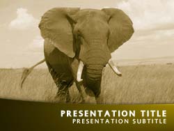Elephant Title Master slide design