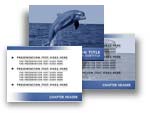 Dolphin PowerPoint Template