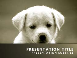 Puppy Dog Title Master slide design