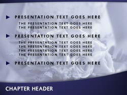 Wedding Bride powerpoint template
Slide master powerpoint slide design
