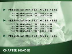 Wedding Bride powerpoint template
Slide master powerpoint slide design