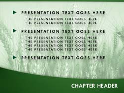 Wheat powerpoint template
Slide master powerpoint slide design