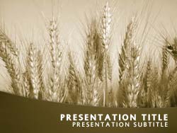 Wheat Title Master slide design
